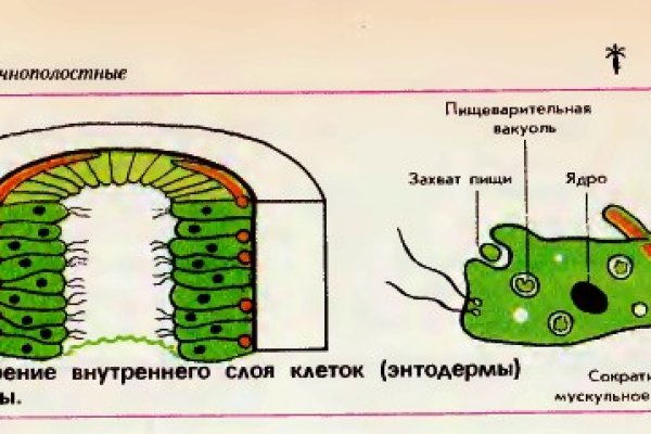 Mega ссылка тор onion